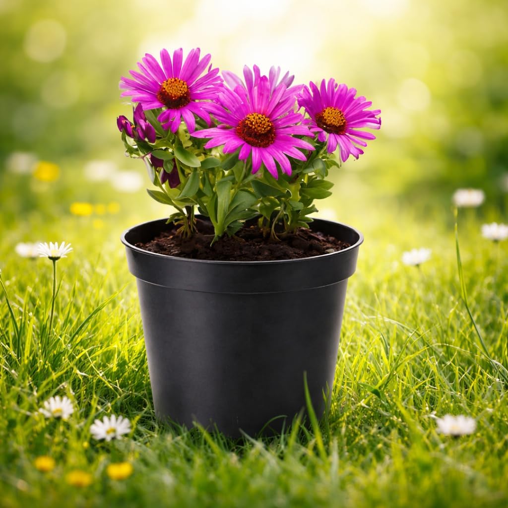 Wohnkult 10 x Anzuchttopf Pflanztopf 2 L schwarz Ø 14 cm x 15 cm Blumentopf Blumenkübel Pflanztöpfe Blumen Saat