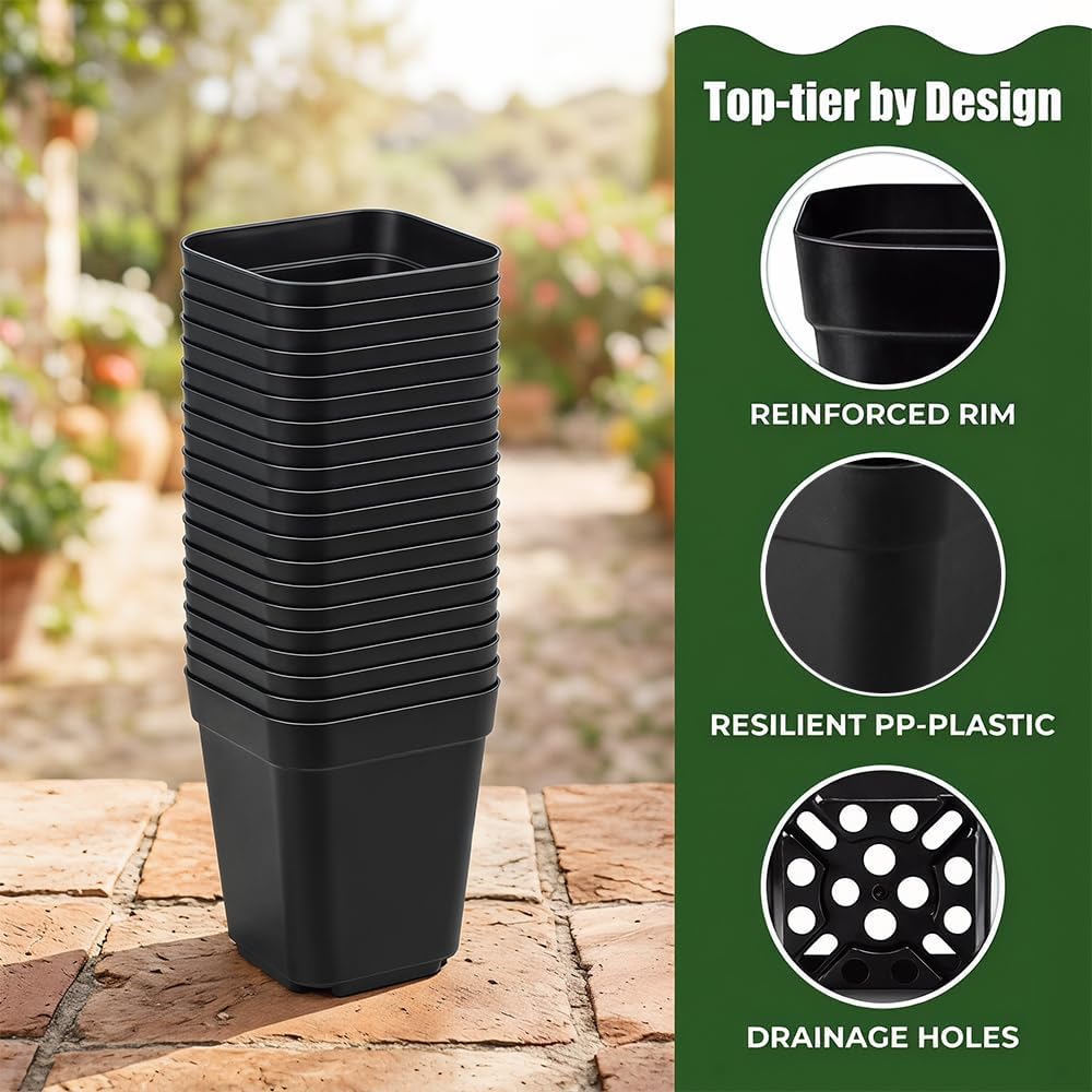 Plastik Anzuchttöpfe 5.5 cm 50 Stück Blumentöpfe Klein, Schwarz Kunststoff Anzuchttöpfe Eckig, Pflanztöpfe Anzucht mit Mehrere Ablauflöchern für Gemüse, Sukkulenten, Setzlinge, Stecklinge, Umpflanzen
