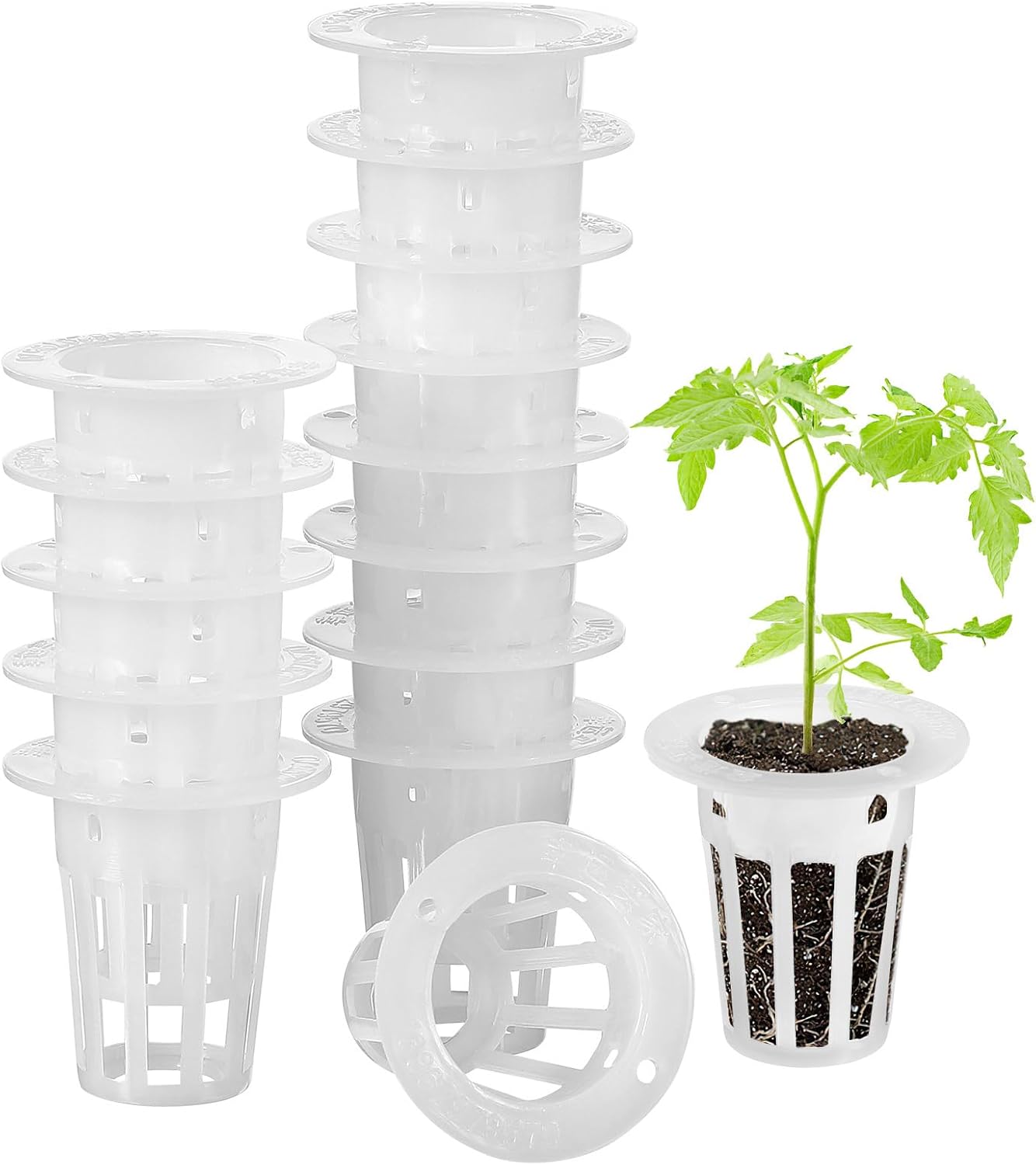 DOITOOL Hydroponic Topf : 100 Stücke Garten Net Pot Netztopf Tasse Töpfe Kunststoff Hydrokultur Net Topf Netztöpfe Eimer Korb Für Hydrokultur Liefert (Weiß 3 4X3 5X1 7 cm)