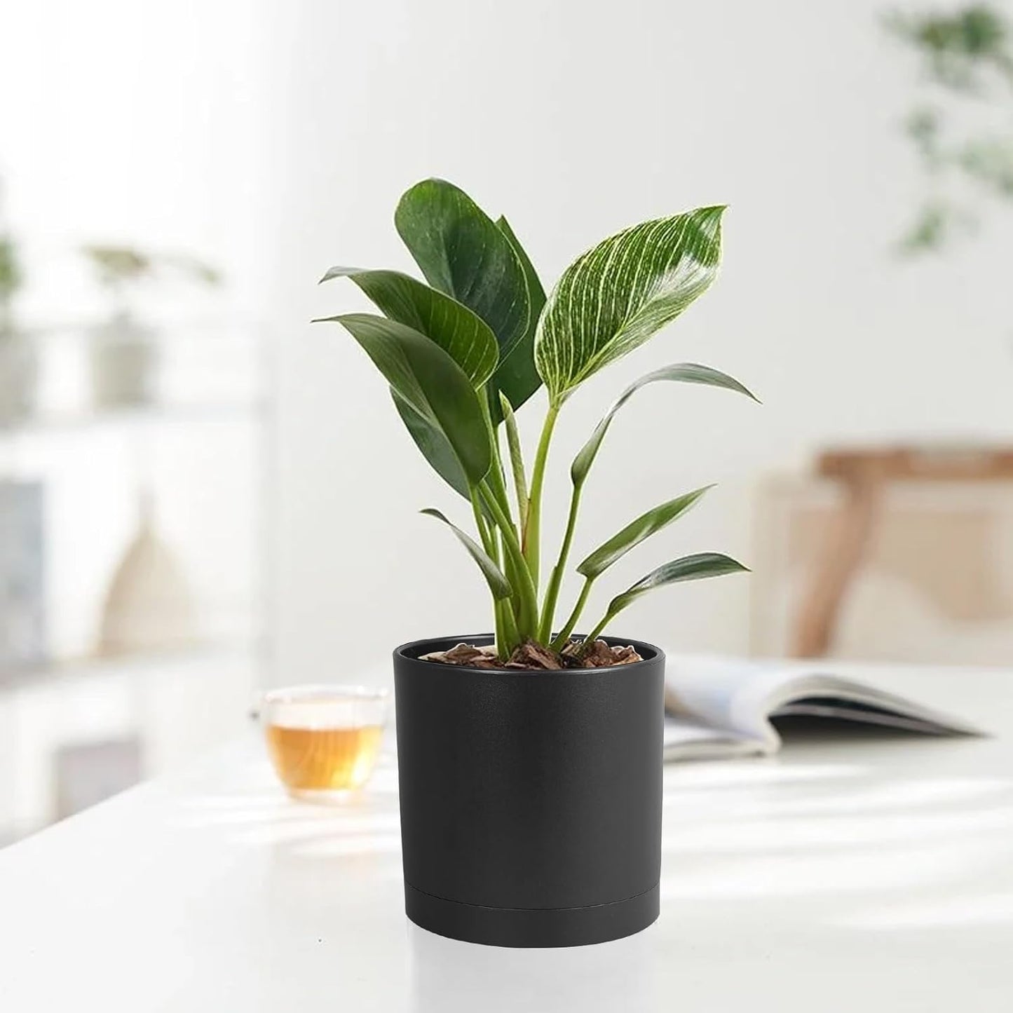 Homeuouz 5 Packs Blumentopf mit Untersetzer, 17.8cm/15.2cm/14cm/12.7cm/10.2cm Pflanzentopf, Plastik Übertopf, Hydrokultur Topf, Blumentöpfe Set Ideal für Innen und Balkongärten,Schwarz