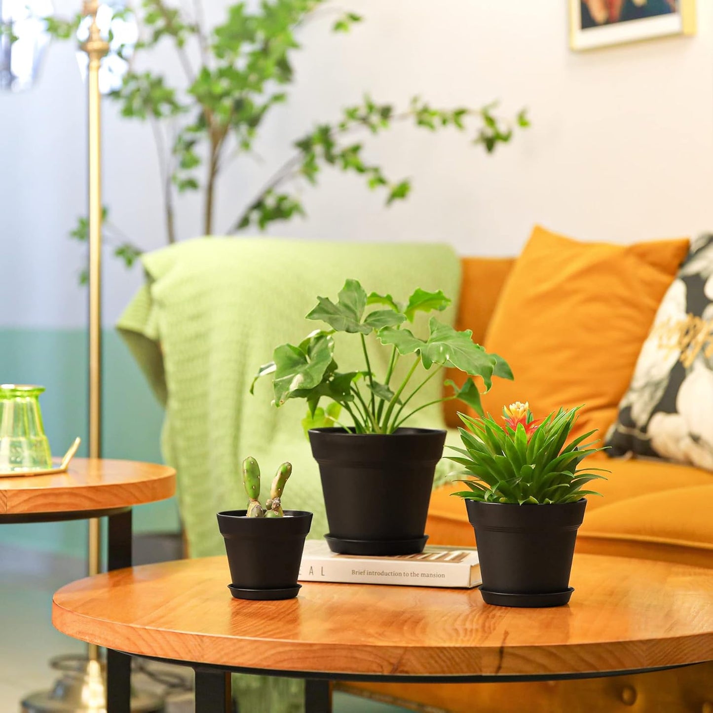 T4U 16cm Kunststoff Blumentopf mit Untersetzer, 6er-Set Plastik Übertopf Kräutertopf mit Mehrere Ablauflöchern, Rund Pflanzkübel für Innen und Balkon Sukkulenten Kaktus, Schwarz