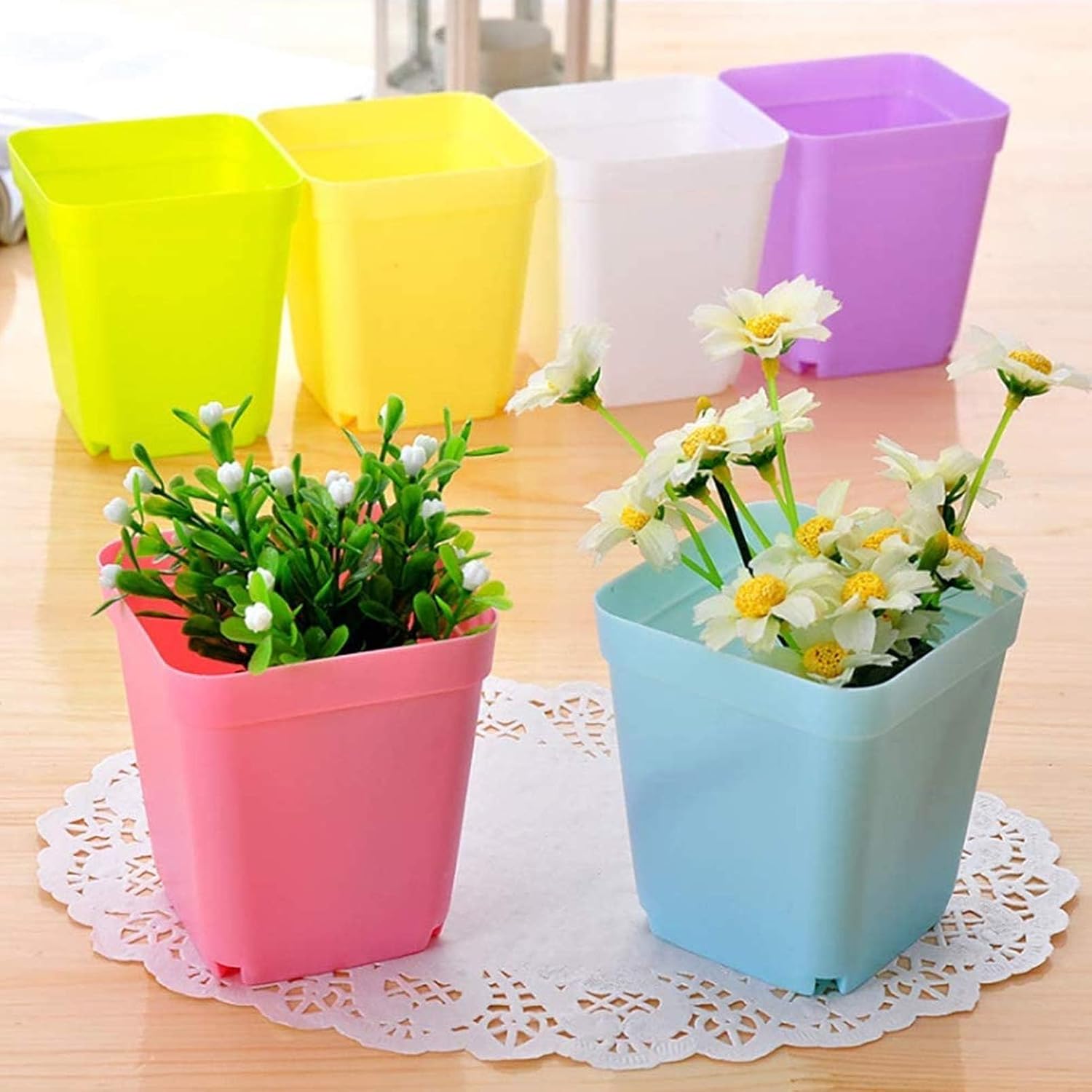 24 Stück Anzuchttöpfe mit Untersetzer,Pflanztopf mit Untersetzer | Farbige Kunststoff Blumentöpfe,Blumentopf Klein,Pflanztöpfe,Pflanzentopf,Pflanzentöpfe für Blumen,Sukkulenten,Setzlinge