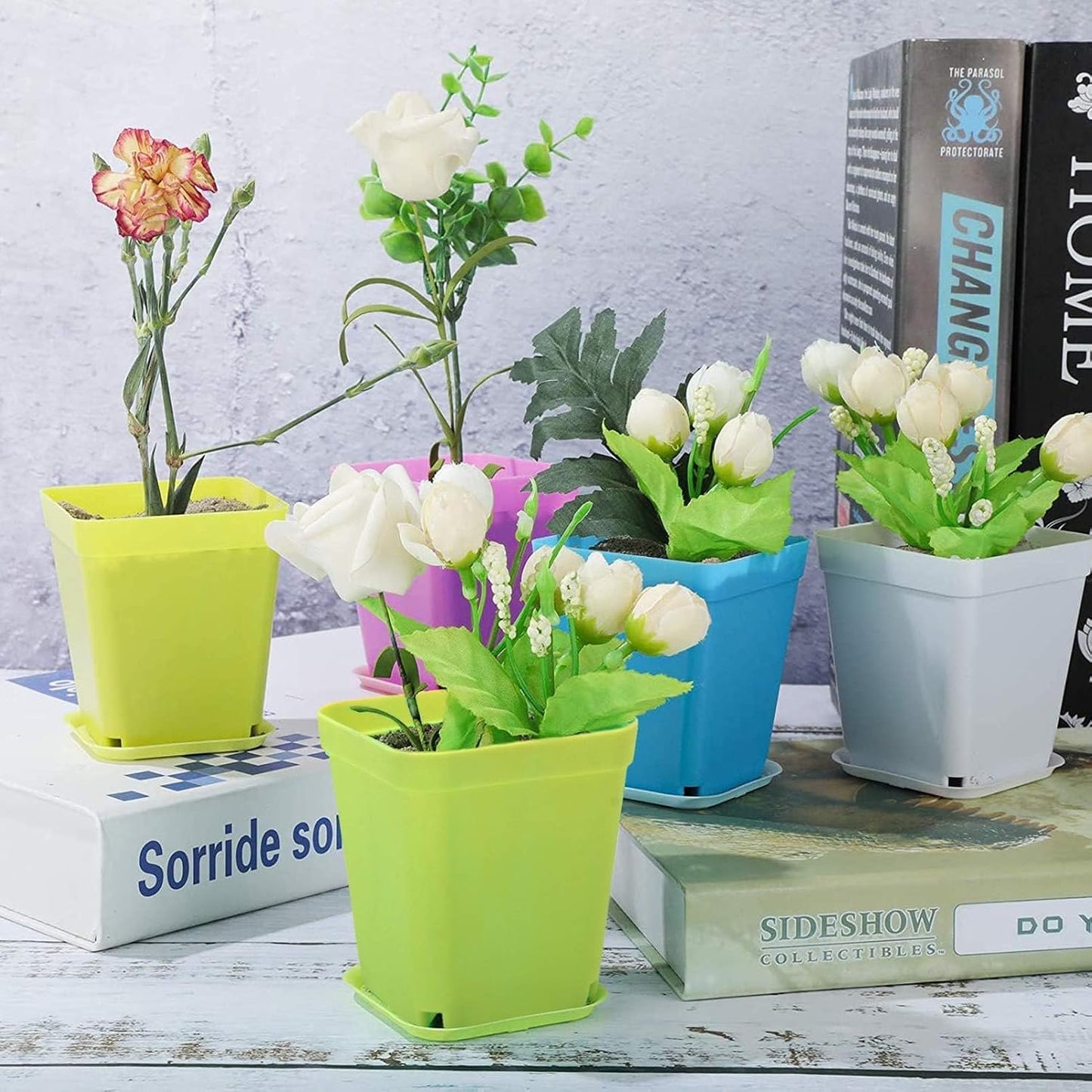 24 Stück Anzuchttöpfe mit Untersetzer,Pflanztopf mit Untersetzer | Farbige Kunststoff Blumentöpfe,Blumentopf Klein,Pflanztöpfe,Pflanzentopf,Pflanzentöpfe für Blumen,Sukkulenten,Setzlinge