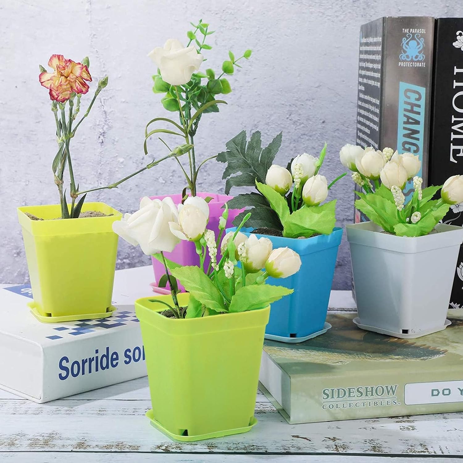 24 Stück Anzuchttöpfe mit Untersetzer,Pflanztopf mit Untersetzer | Farbige Kunststoff Blumentöpfe,Blumentopf Klein,Pflanztöpfe,Pflanzentopf,Pflanzentöpfe für Blumen,Sukkulenten,Setzlinge