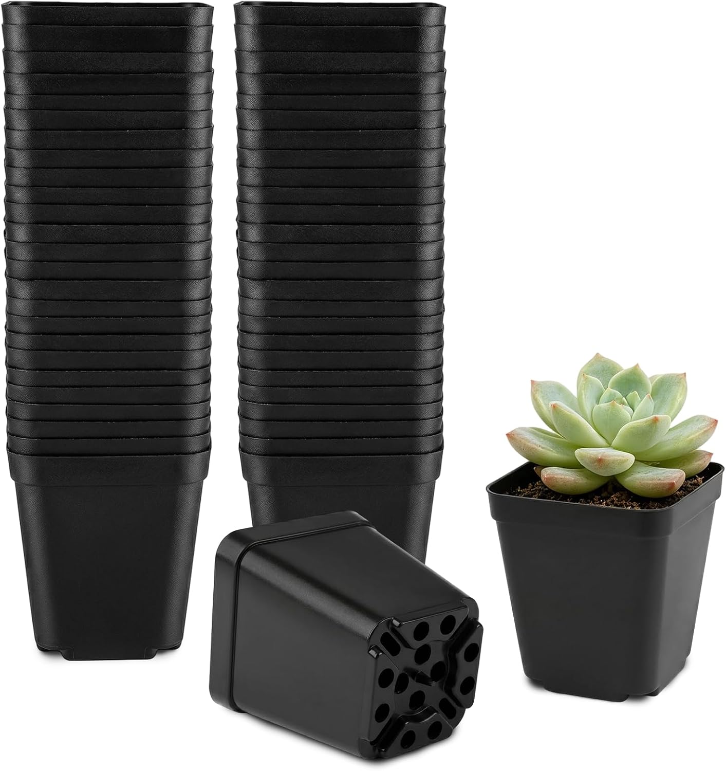 Plastik Anzuchttöpfe 5.5 cm 50 Stück Blumentöpfe Klein, Schwarz Kunststoff Anzuchttöpfe Eckig, Pflanztöpfe Anzucht mit Mehrere Ablauflöchern für Gemüse, Sukkulenten, Setzlinge, Stecklinge, Umpflanzen