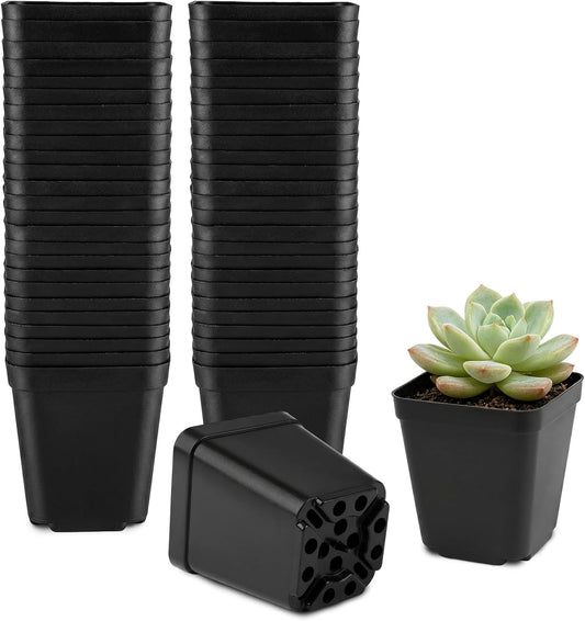 Plastik Anzuchttöpfe 5.5 cm 50 Stück Blumentöpfe Klein, Schwarz Kunststoff Anzuchttöpfe Eckig, Pflanztöpfe Anzucht mit Mehrere Ablauflöchern für Gemüse, Sukkulenten, Setzlinge, Stecklinge, Umpflanzen
