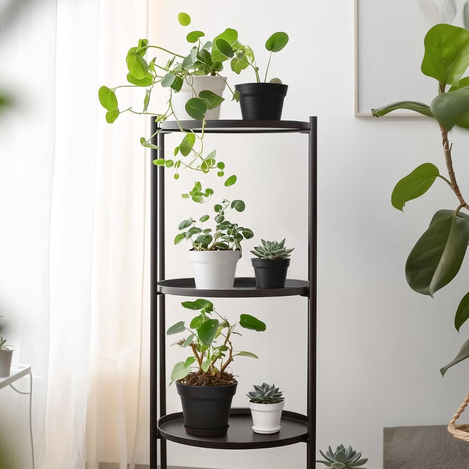 T4U 16cm Kunststoff Blumentopf mit Untersetzer, 6er-Set Plastik Übertopf Kräutertopf mit Mehrere Ablauflöchern, Rund Pflanzkübel für Innen und Balkon Sukkulenten Kaktus, Schwarz