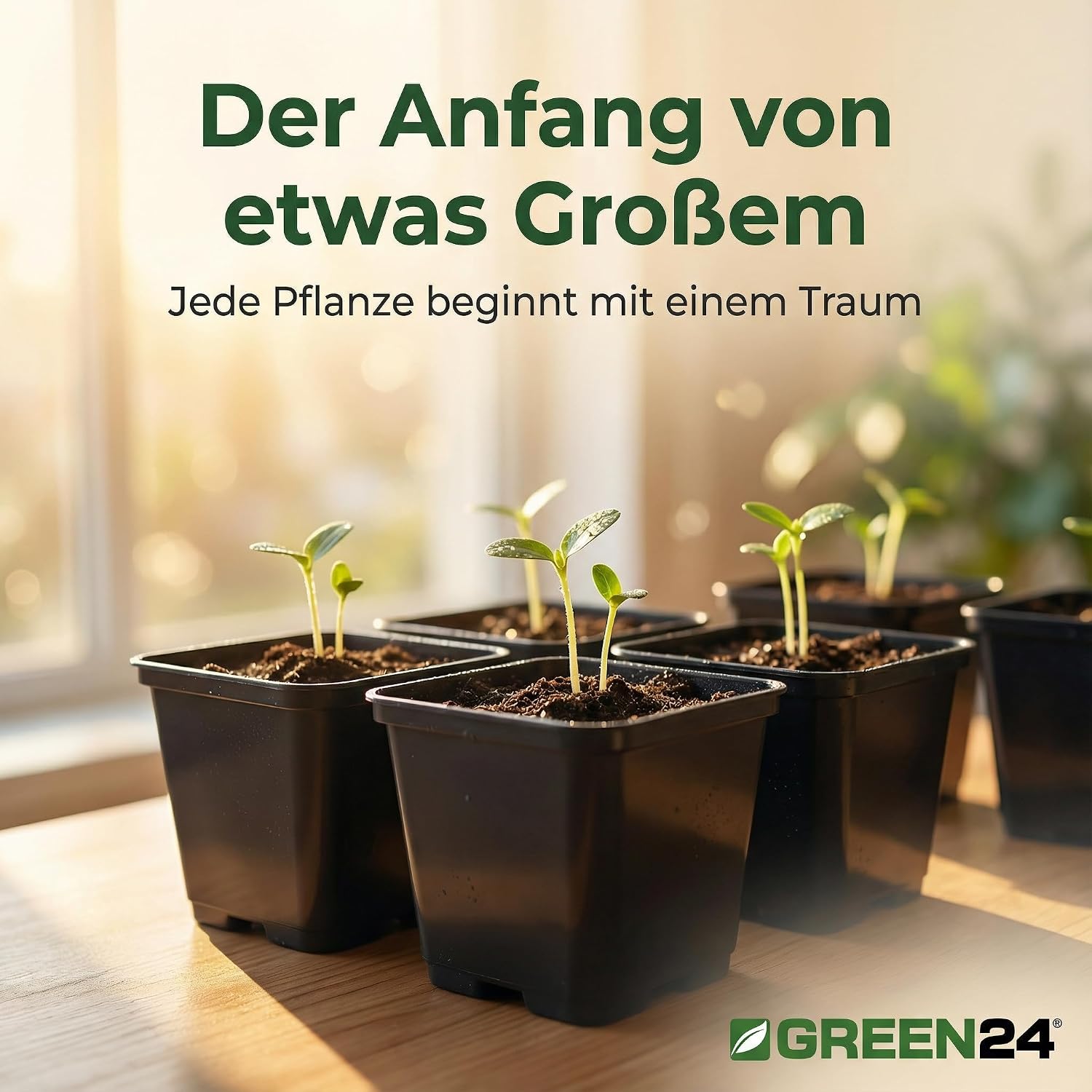 GREEN24 50 Stck. Pflanztöpfe 9x9x9,5cm Vierecktopf Profi Anzuchttopf Pflanztopf Blumentopf Vierkant-Töpfe (50, 9x9x9.5), schwarz, innen & außen geeignet