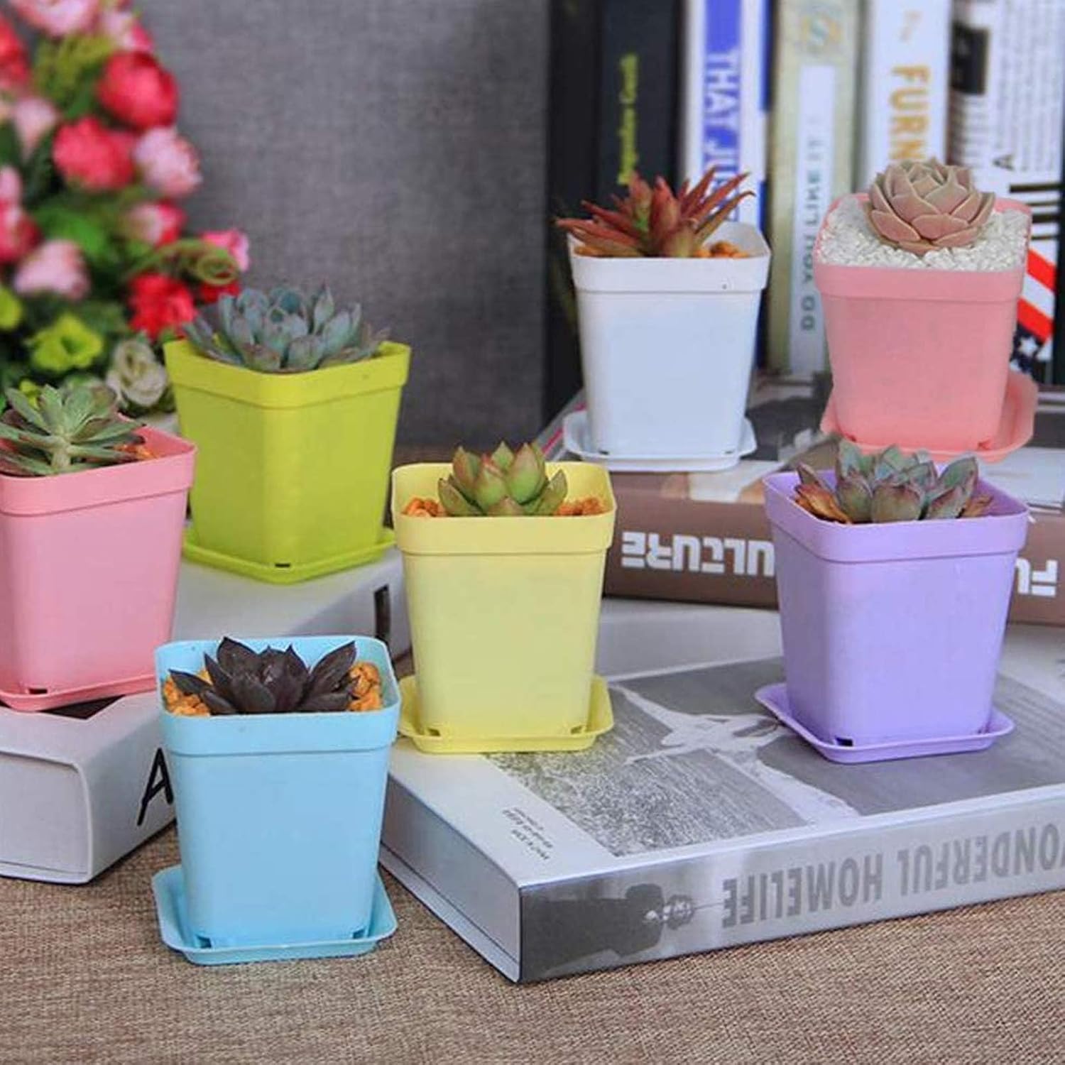 24 Stück Anzuchttöpfe mit Untersetzer,Pflanztopf mit Untersetzer | Farbige Kunststoff Blumentöpfe,Blumentopf Klein,Pflanztöpfe,Pflanzentopf,Pflanzentöpfe für Blumen,Sukkulenten,Setzlinge