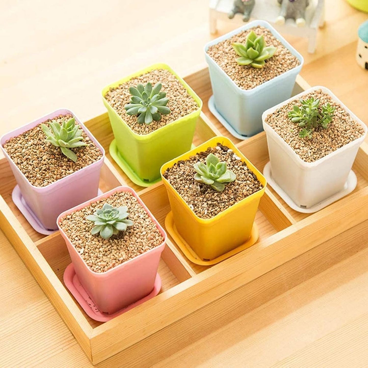 24 Stück Anzuchttöpfe mit Untersetzer,Pflanztopf mit Untersetzer | Farbige Kunststoff Blumentöpfe,Blumentopf Klein,Pflanztöpfe,Pflanzentopf,Pflanzentöpfe für Blumen,Sukkulenten,Setzlinge