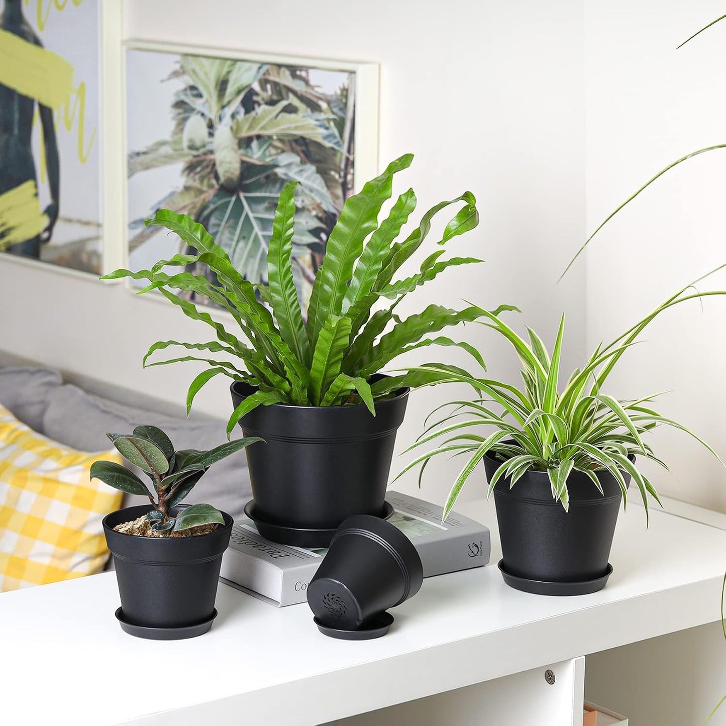 T4U 16cm Kunststoff Blumentopf mit Untersetzer, 6er-Set Plastik Übertopf Kräutertopf mit Mehrere Ablauflöchern, Rund Pflanzkübel für Innen und Balkon Sukkulenten Kaktus, Schwarz