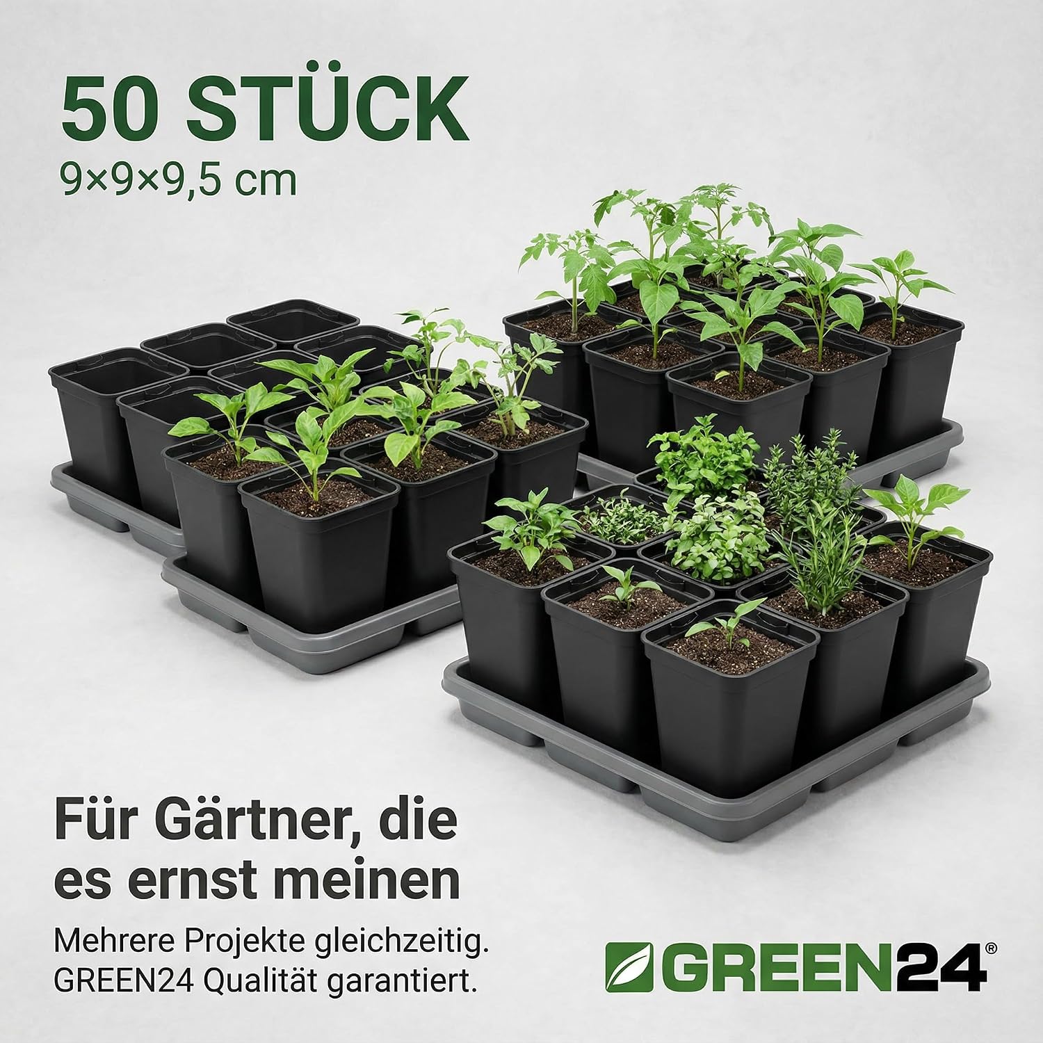 GREEN24 50 Stck. Pflanztöpfe 9x9x9,5cm Vierecktopf Profi Anzuchttopf Pflanztopf Blumentopf Vierkant-Töpfe (50, 9x9x9.5), schwarz, innen & außen geeignet